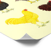 49 Roosters Poster (Hoek)