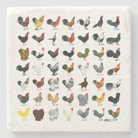 49 Roosters Stenen Onderzetter (Voorkant)