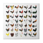 49 Roosters Tegeltje (Voorkant)