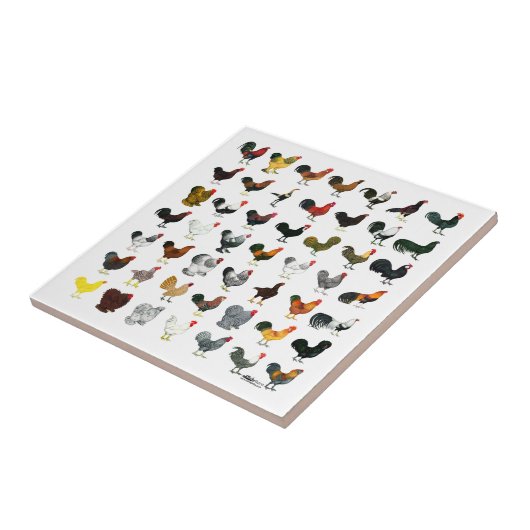 49 Roosters Tegeltje (Zijkant)