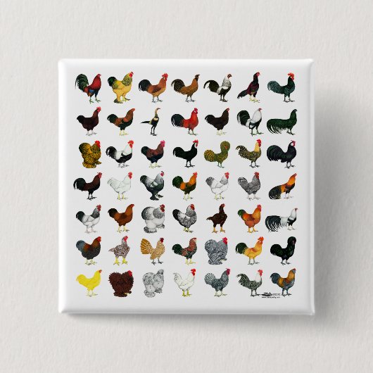 49 Roosters Vierkante Button 5,1 Cm (Voorkant)