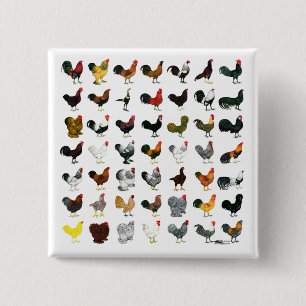 49 Roosters Vierkante Button 5,1 Cm