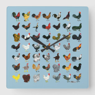 49 Roosters Vierkante Klok