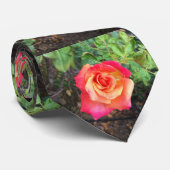 49er-Roos Stropdas (Opgerold)