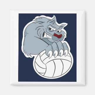 49ers | Calamita Magneet