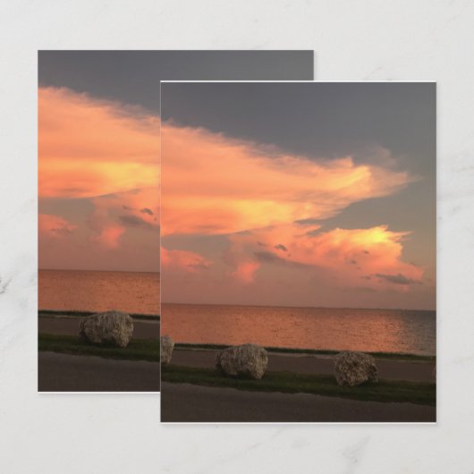 4,5-inch x 5,6-inch vel voor flatpapier (Voorkant / Achterkant)