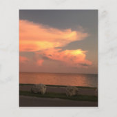 4,5-inch x 5,6-inch vel voor flatpapier (Achterkant)