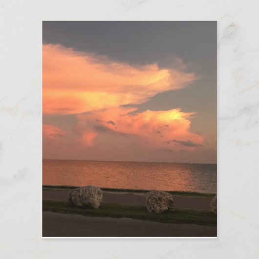 4,5-inch x 5,6-inch vel voor flatpapier (Achterkant)