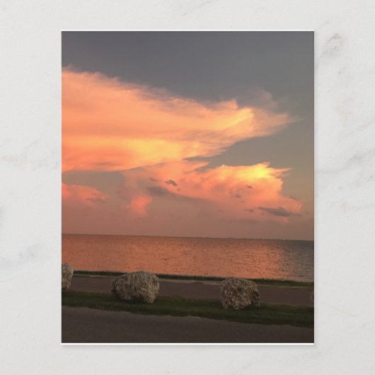 4,5-inch x 5,6-inch vel voor flatpapier (Voorkant)