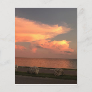 4,5-inch x 5,6-inch vel voor flatpapier