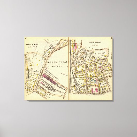 4-5 Witte vlakken Canvas Afdruk (Voorkant)