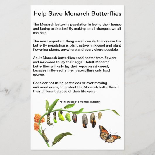 4,5" x 5,6" Flyer Papier (Voorkant)