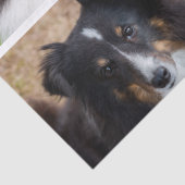 4 Aangepaste foto's voor selectieve foto's Sjabloo Tissuepapier (Detail)