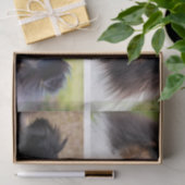 4 Aangepaste huisdierfoto's collagesjabloon en tek Tissuepapier (Geschenk)