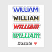 4 Aangepaste Naam Hard Pet Stickers voor elektrici (Vel)