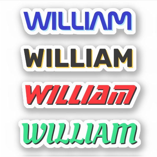 4 Aangepaste Naam Hard Pet Stickers voor elektrici (Voorkant)