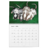 4 Baby Gedifferentieerde muizen opgroeien Kalender (Mar 2026)