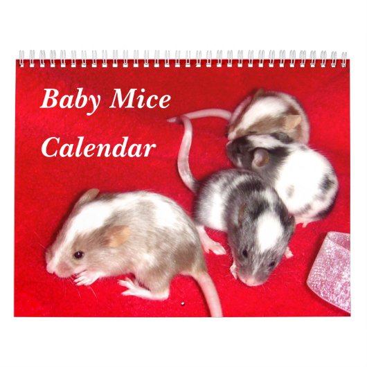4 Baby Gedifferentieerde muizen opgroeien Kalender (Hoes)