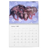 4 Baby Gedifferentieerde muizen opgroeien Kalender (Jan 2027)