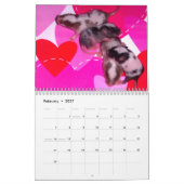 4 Baby Gedifferentieerde muizen opgroeien Kalender (Feb 2027)