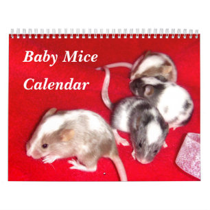 4 baby Geschakeerde Muizen die groeien Kalender