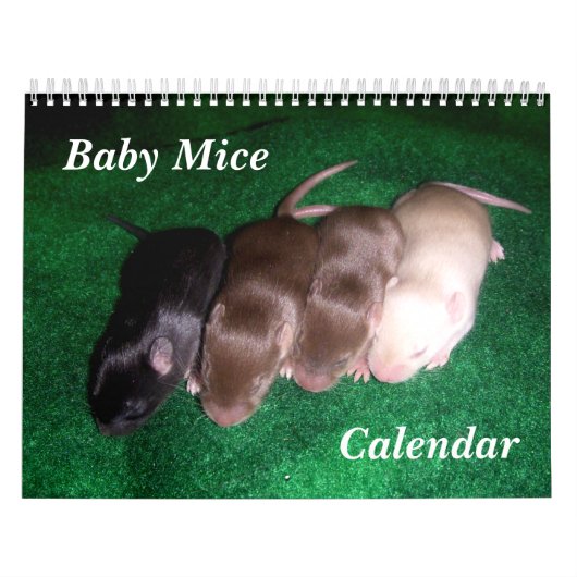 4 Baby muizen opgroeien Kalender (Hoes)