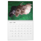 4 Baby muizen opgroeien Kalender (Mar 2027)