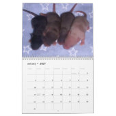 4 Baby muizen opgroeien Kalender (Jan 2027)