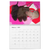 4 Baby muizen opgroeien Kalender (Feb 2027)