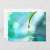 4 BRIEFKAART (Voorkant / Achterkant)