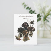 4 Duitse kortharige pointer kleuren Briefkaart (Staand voorkant)