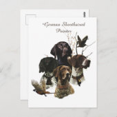 4 Duitse kortharige pointer kleuren Briefkaart (Voorkant / Achterkant)