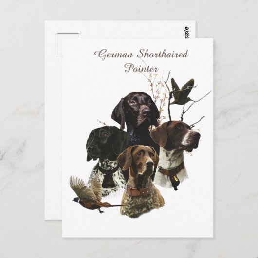 4 Duitse kortharige pointer kleuren Briefkaart (Voorkant / Achterkant)