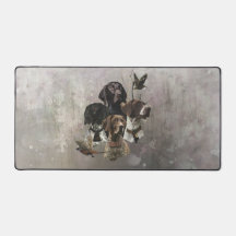 4 Duitse kortharige pointer kleuren