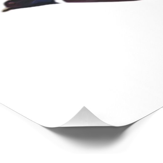 4 Duitse kortharige pointer kleuren Foto Afdruk (Hoek)