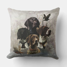4 Duitse kortharige pointer kleuren