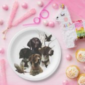 4 Duitse kortharige pointer kleuren Papieren Bordje (Feest)