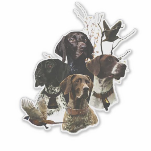 4 Duitse kortharige pointer kleuren Sticker (Voorkant)