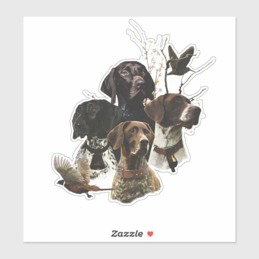 4 Duitse kortharige pointer kleuren Sticker (Vel)