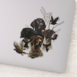 4 Duitse kortharige pointer kleuren Sticker