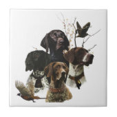 4 Duitse kortharige pointer kleuren Tegeltje (Voorkant)