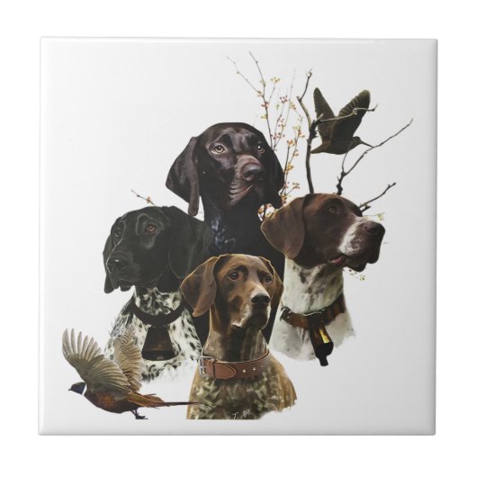 4 Duitse kortharige pointer kleuren Tegeltje (Voorkant)