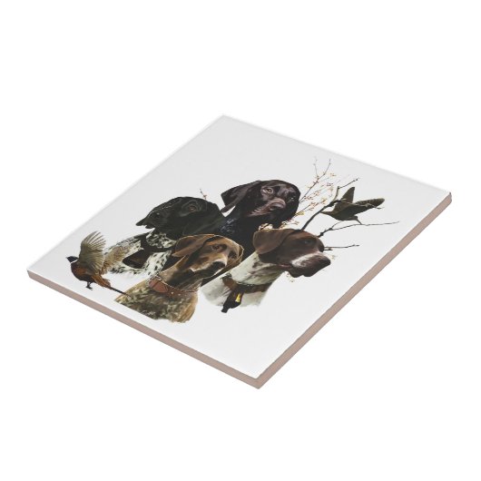 4 Duitse kortharige pointer kleuren Tegeltje (Zijkant)