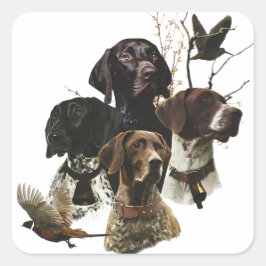 4 Duitse kortharige pointer kleuren Vierkante Sticker
