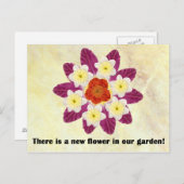 4 Er is een nieuwe bloem in onze tuin Briefkaart (Voorkant / Achterkant)