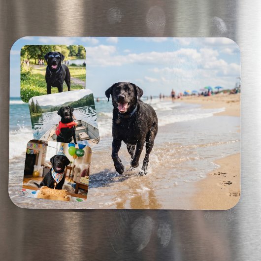 4 foto collage gepersonaliseerde aangepaste magnee magneet