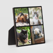 4 foto collage van huisdieren herdendenking op zwa fotoplaat (Voorkant)