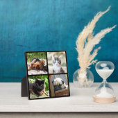 4 foto collage van huisdieren herdenking op zwart  fotoplaat (Insitu)