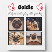 4 foto honden halsband collage - op maat gemaakte  fotoplaat (Voorkant)