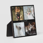4 Foto Huisdiercollage, Zwarte Lijst, Onderschrift Fotoplaat (Voorkant)